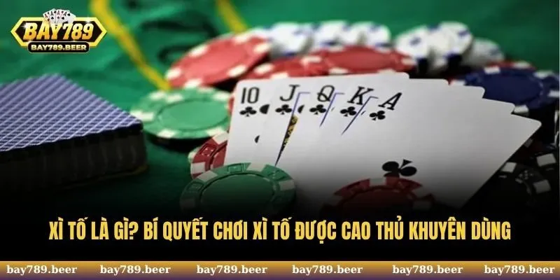 Xì Tố Là Gì? Tìm Hiểu Về Xì Tố Từ A - Z Cho Người Mới